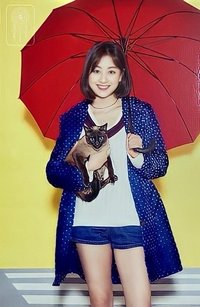 #DREAMDAY 明信片 大卡