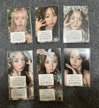 仲夏夜 jyp 預售 特典卡 一套