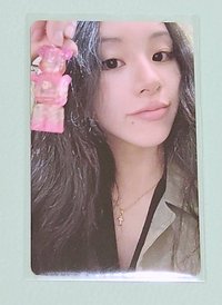 暴力熊