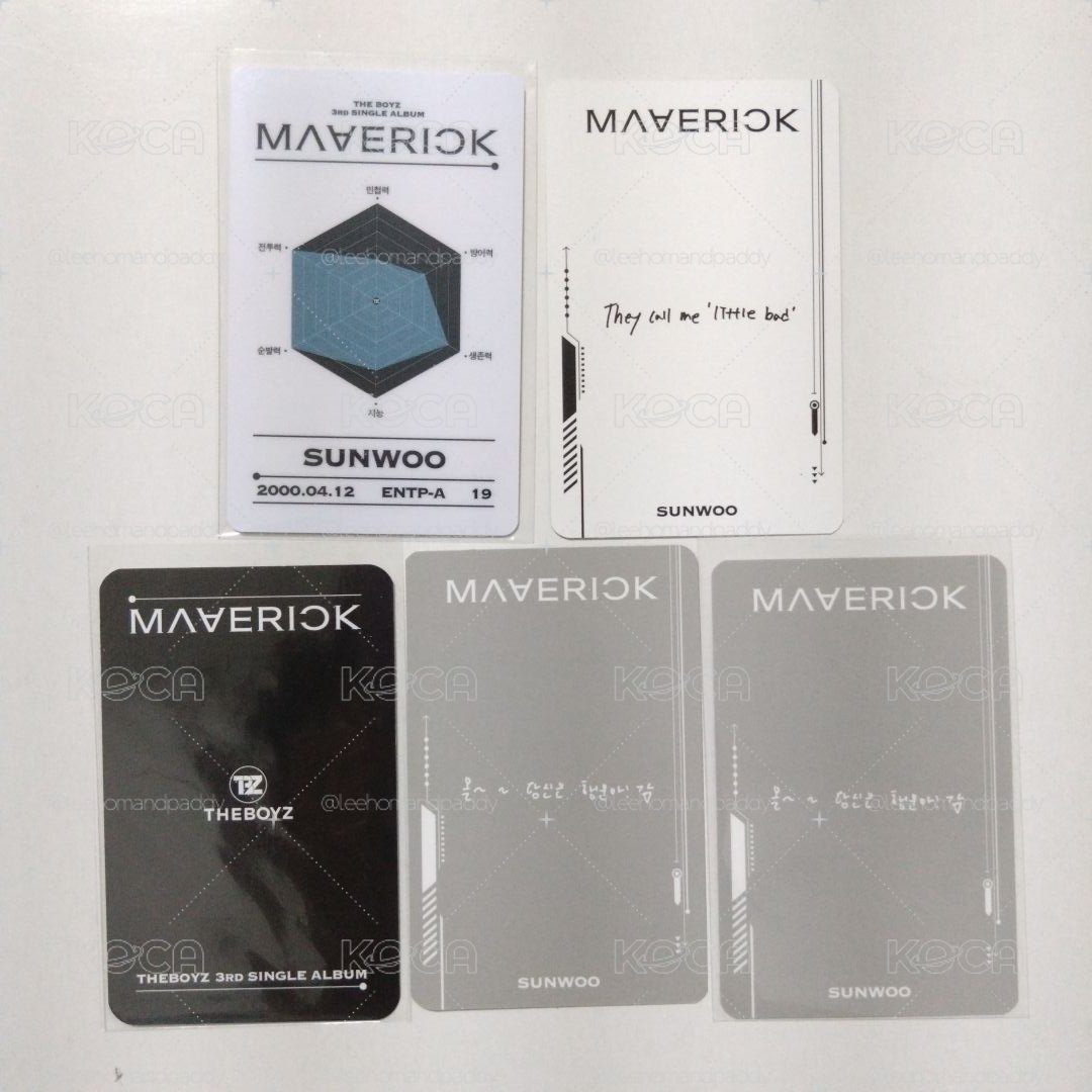 TBZ | 金善旴 Maverick 小盤 