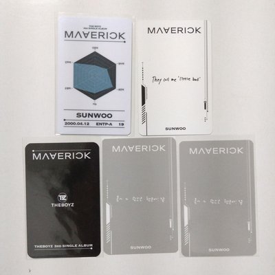 TBZ | 金善旴 Maverick 小盤 