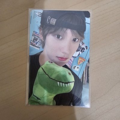 恐龍安