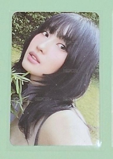 森林桃