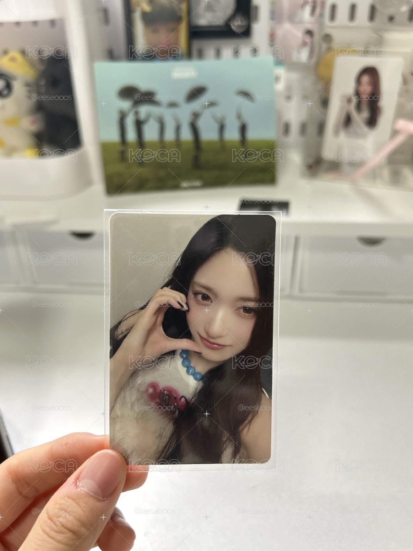 瑞卡