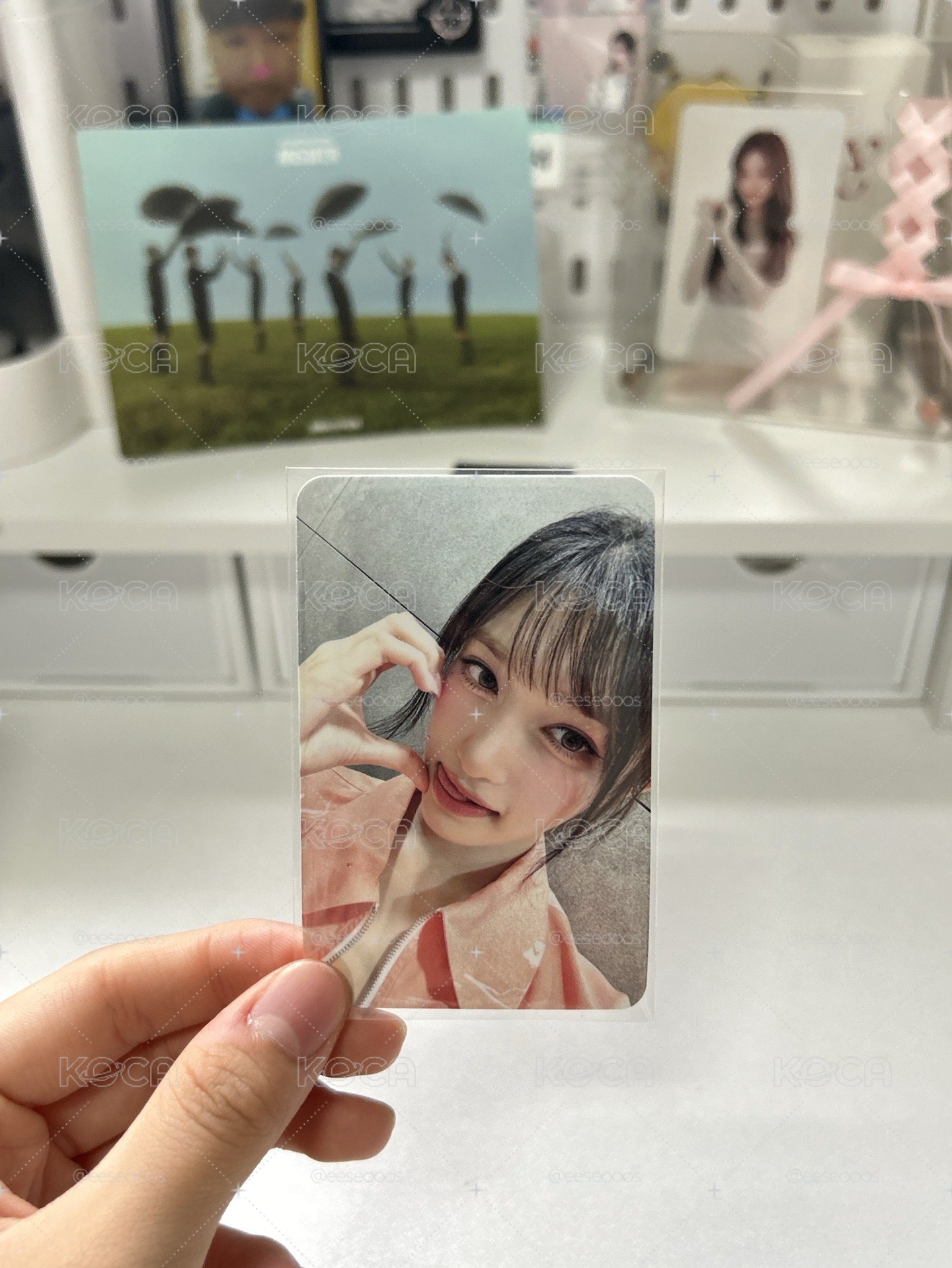 瑞卡