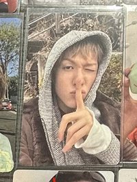 黑膠馬