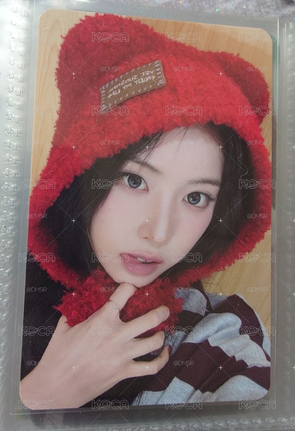正規一ms 台北 26.01:1 特別活動 簽售卡 祝 福的熊熊 ver.-jiwoo