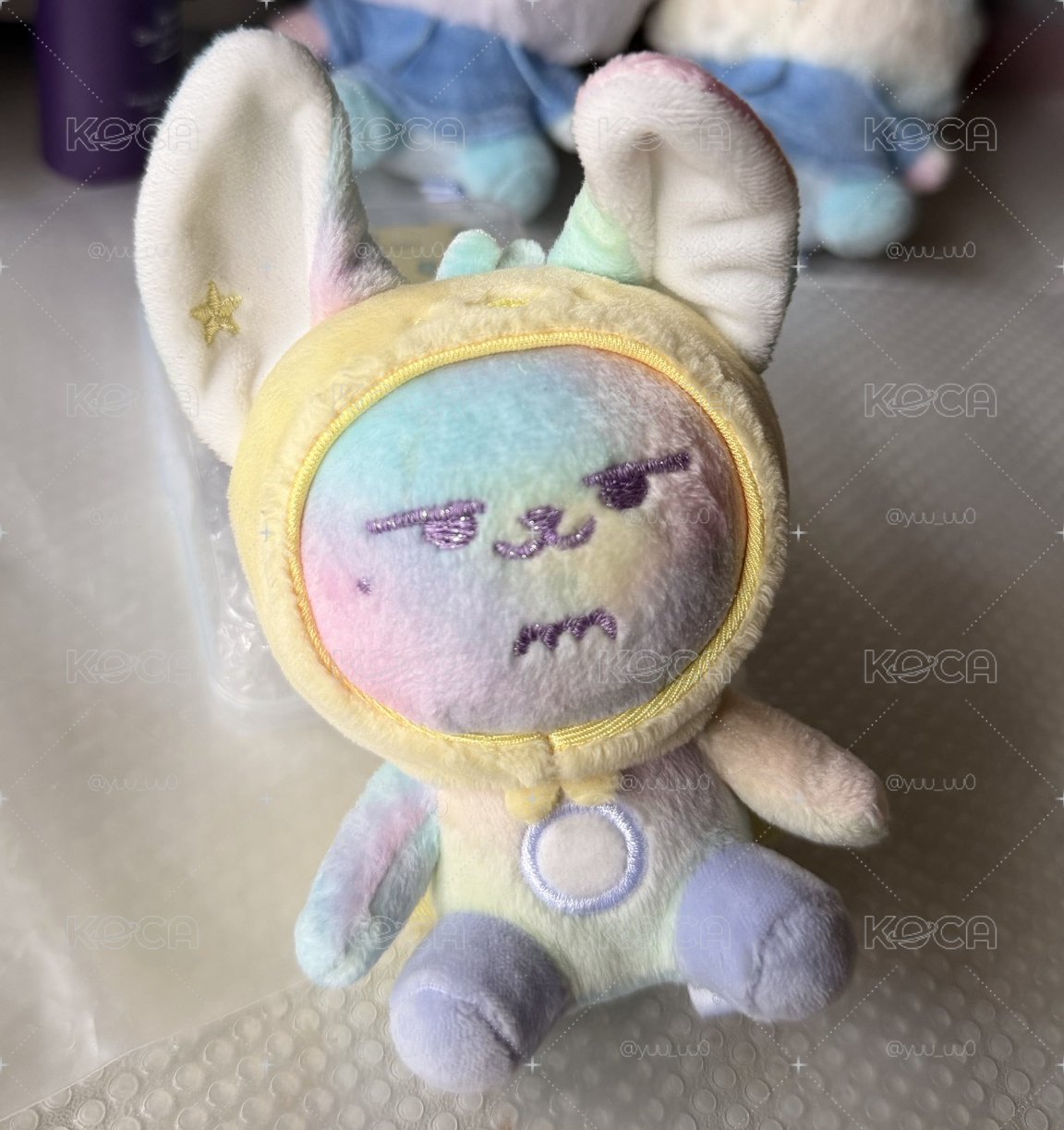 送養彩虹小春🌈🦊