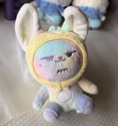 送養彩虹小春🌈🦊