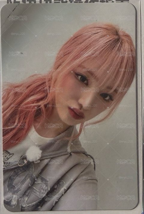 四星栗