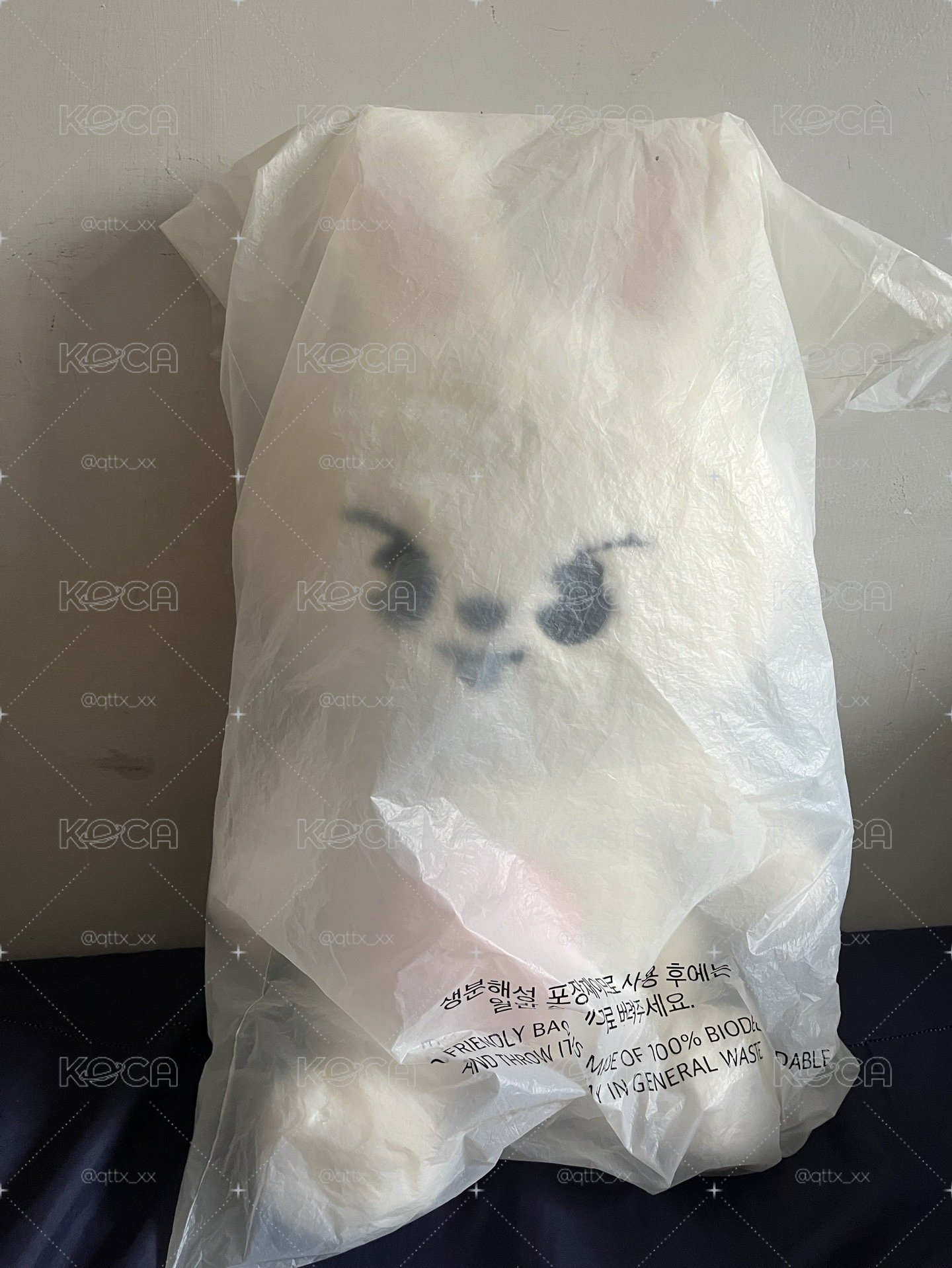 泰迪旻