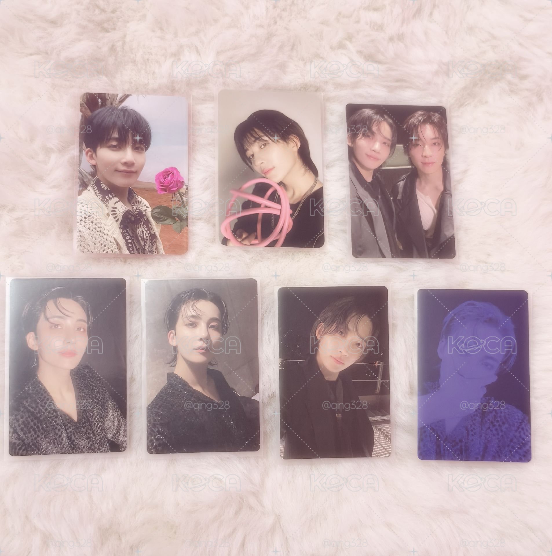 ˚₊‧꒰ა 哈尼小卡專區 ໒꒱ ‧₊˚