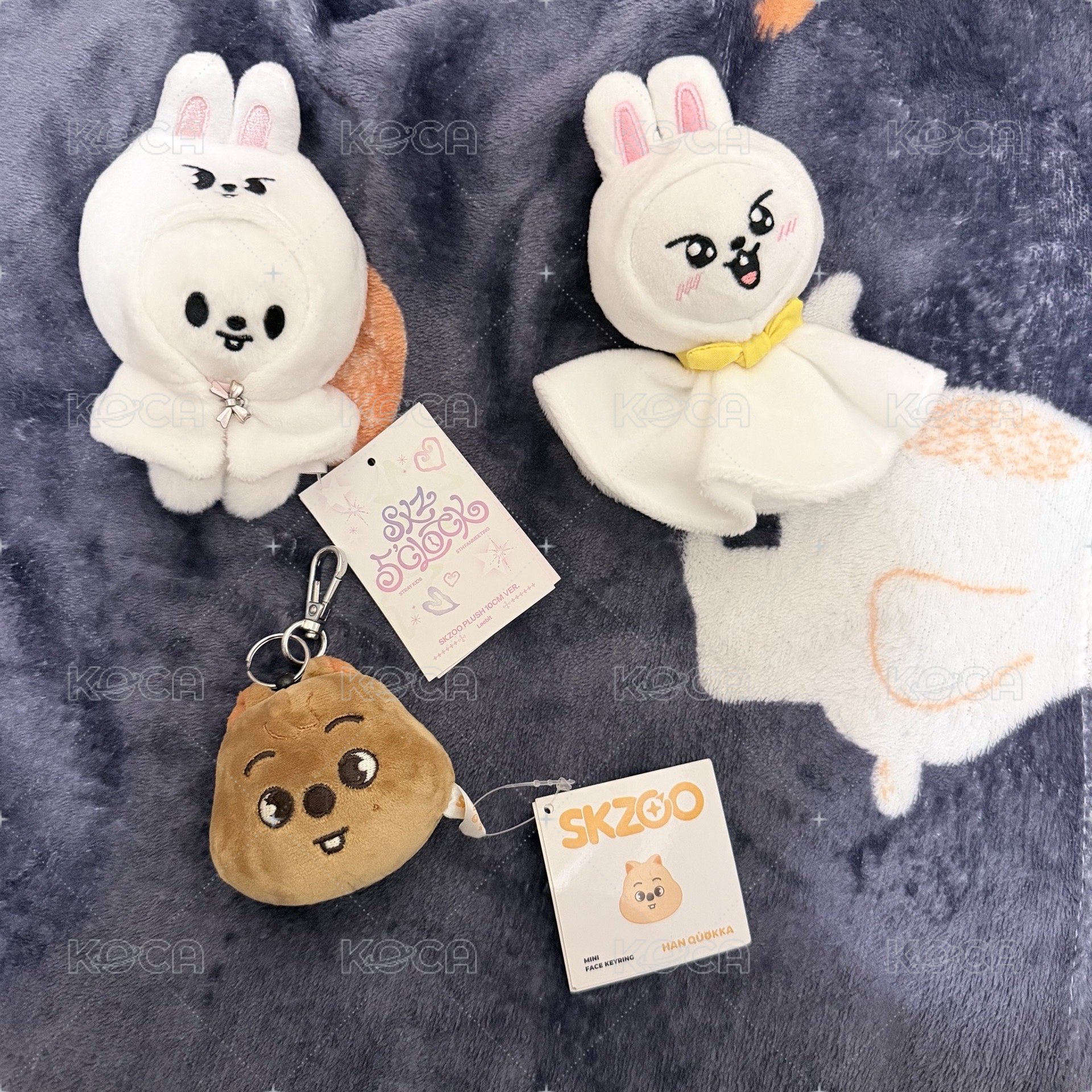 晴天娃娃李畢