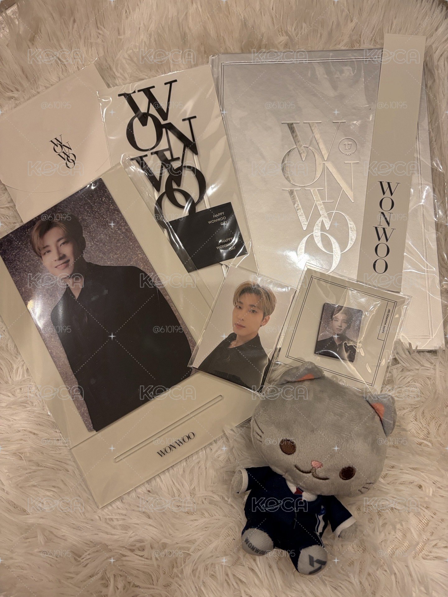 birthday package ver.1 wonwoo
