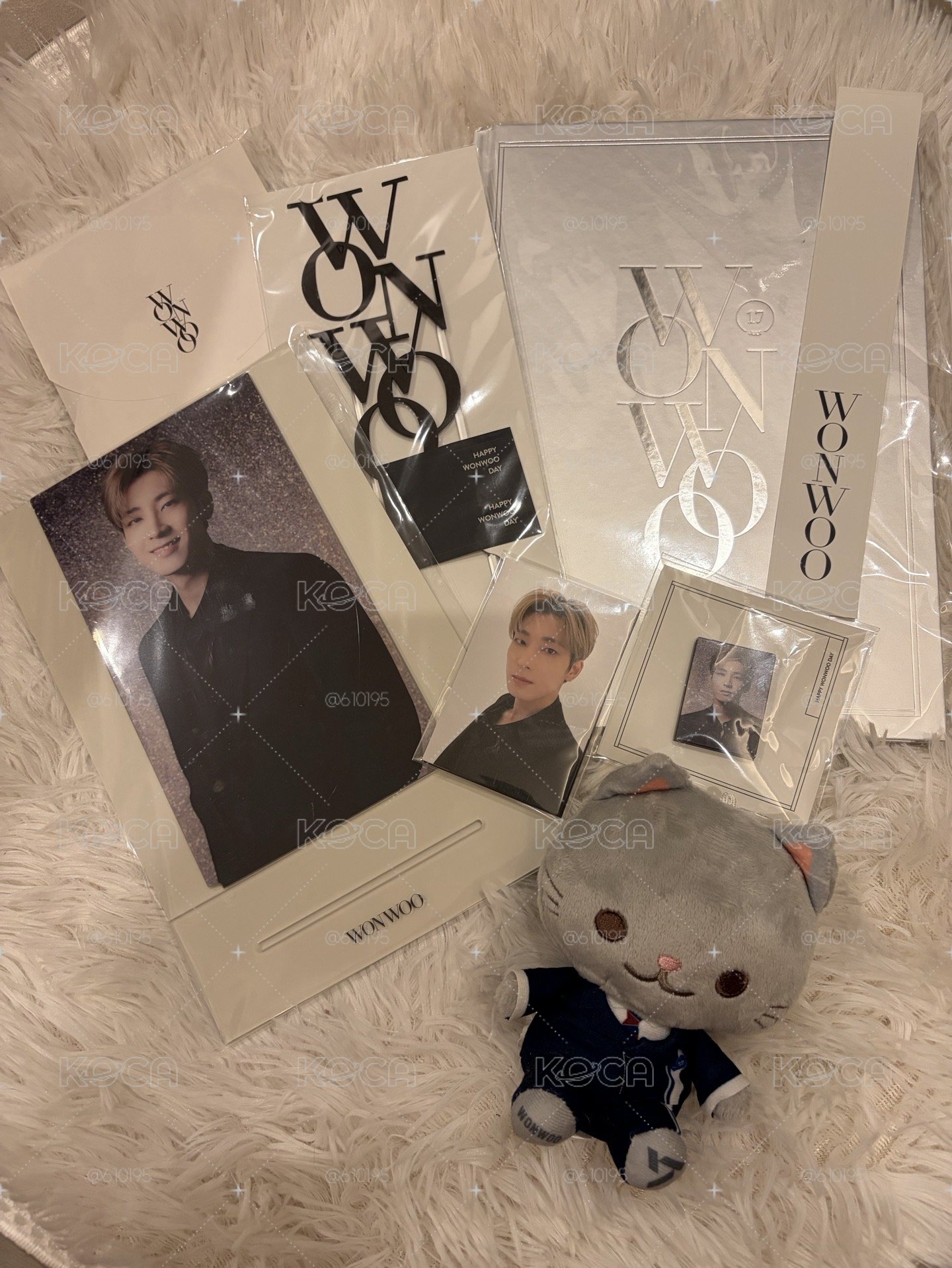 birthday package ver.1 wonwoo