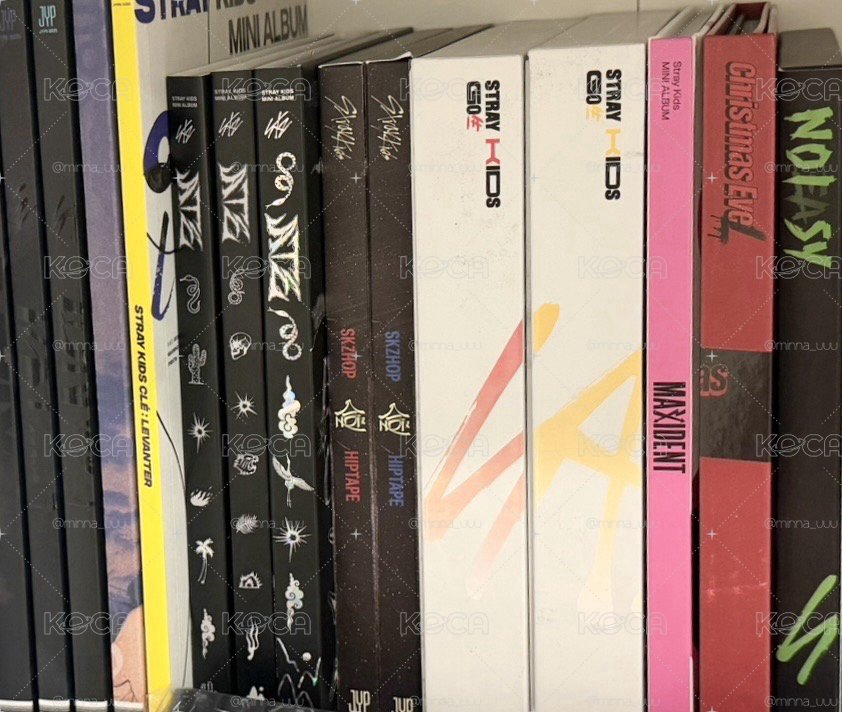 SKZ 普版/限量版空專