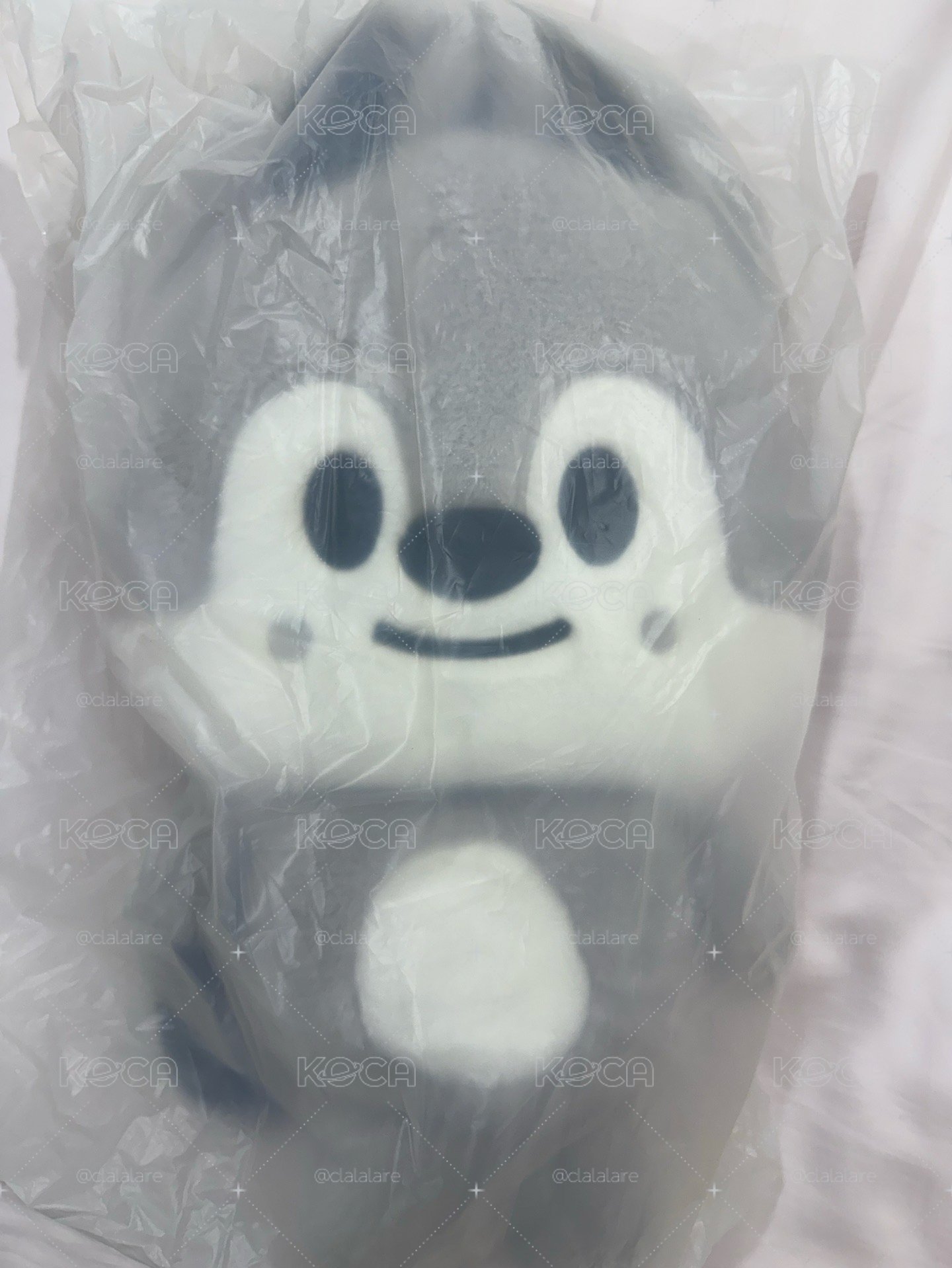 燦後背現貨含背包卡