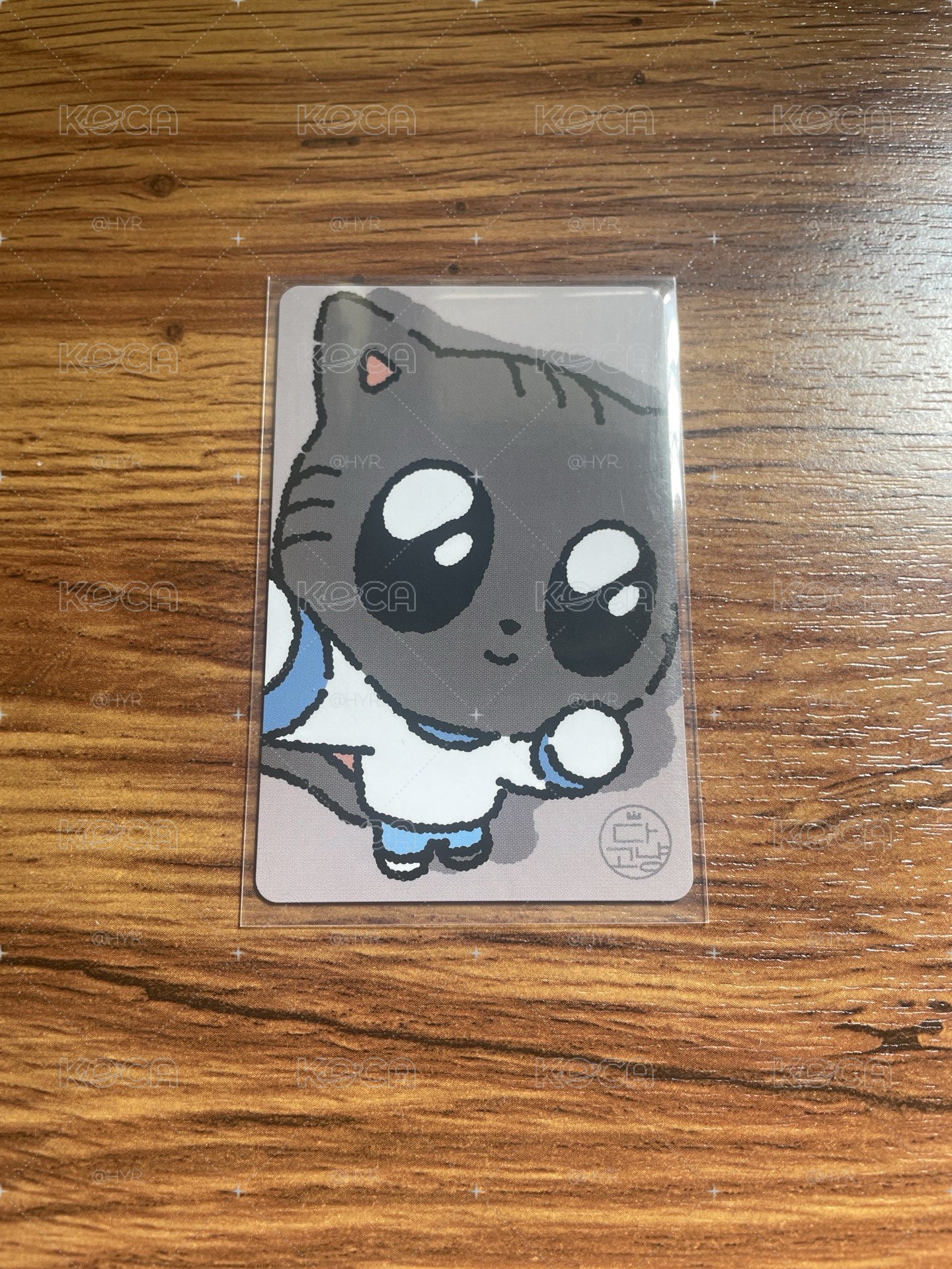 夏日滿額卡 🐱