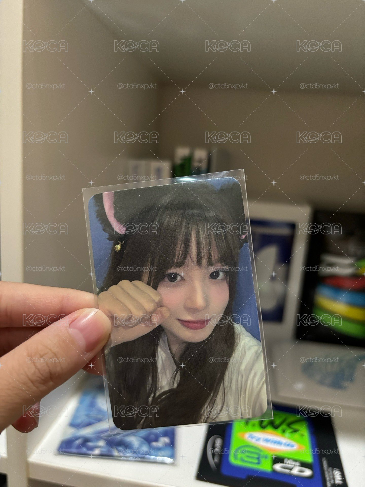 薛11