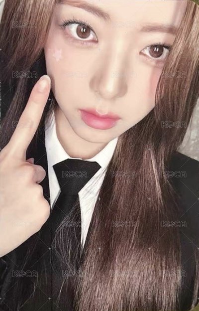 兔子警官申請出戰