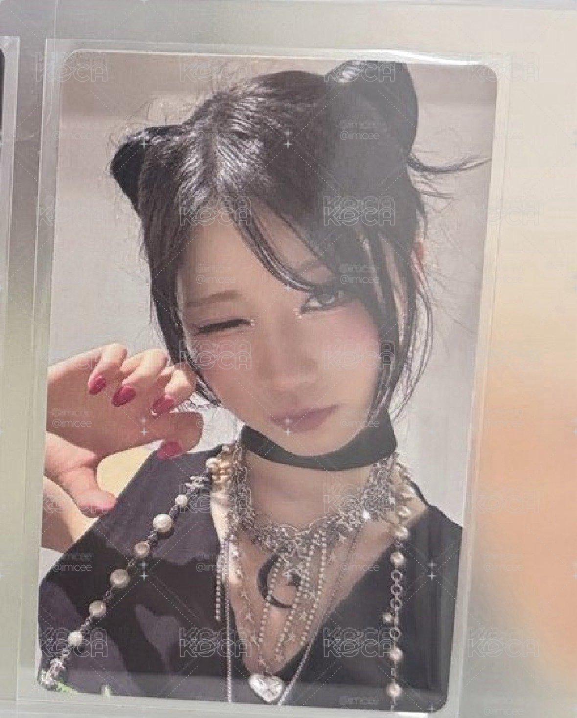 1元起標貓貓角