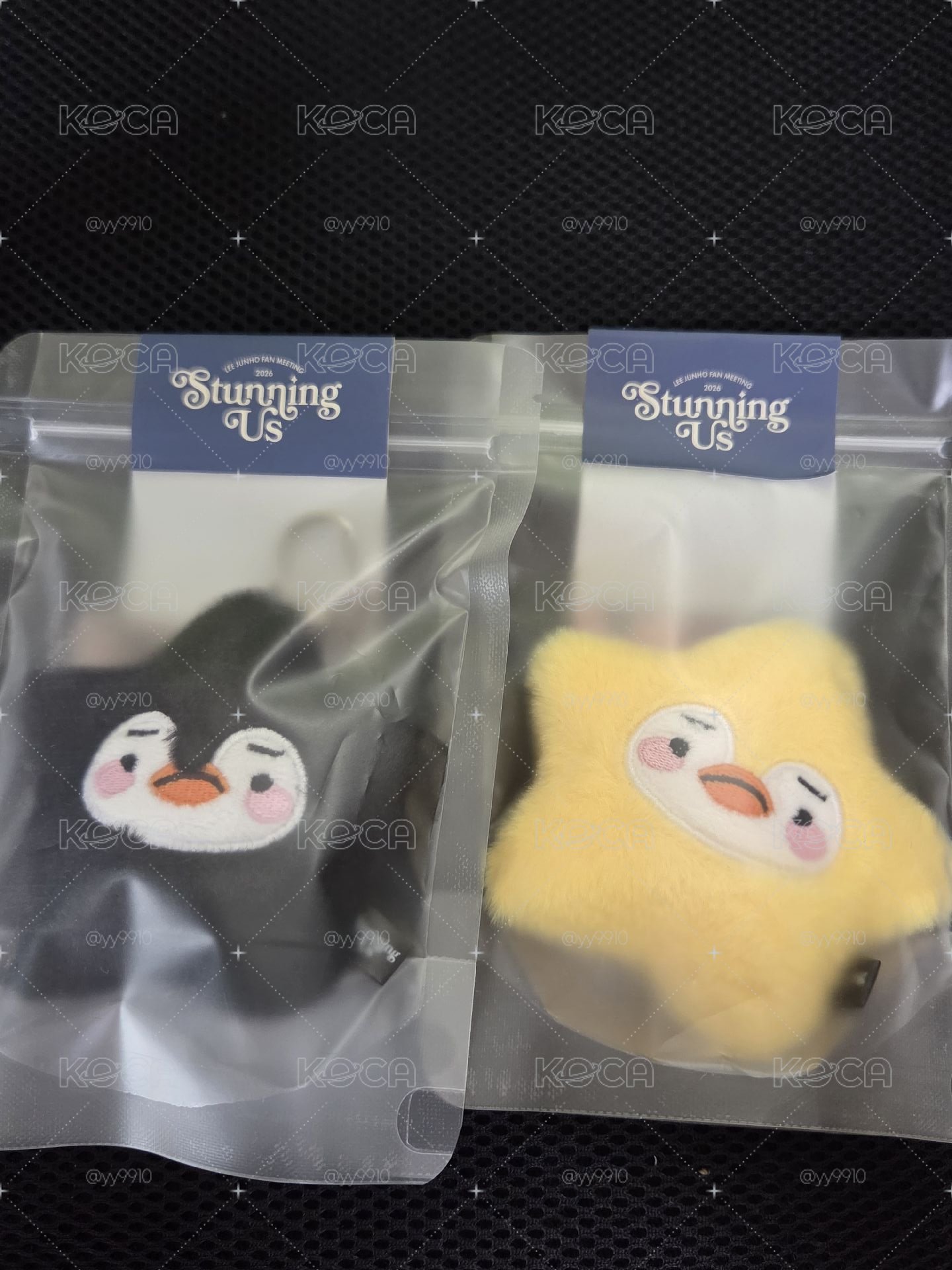 星星鵝