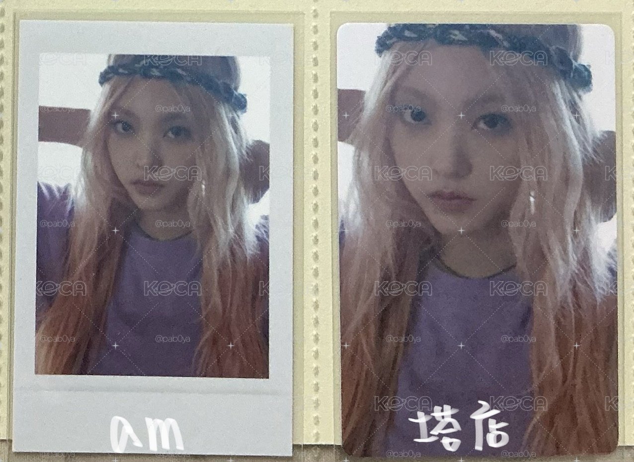 貓超自然特典