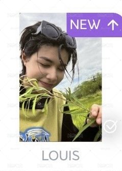 路易 貼紙書