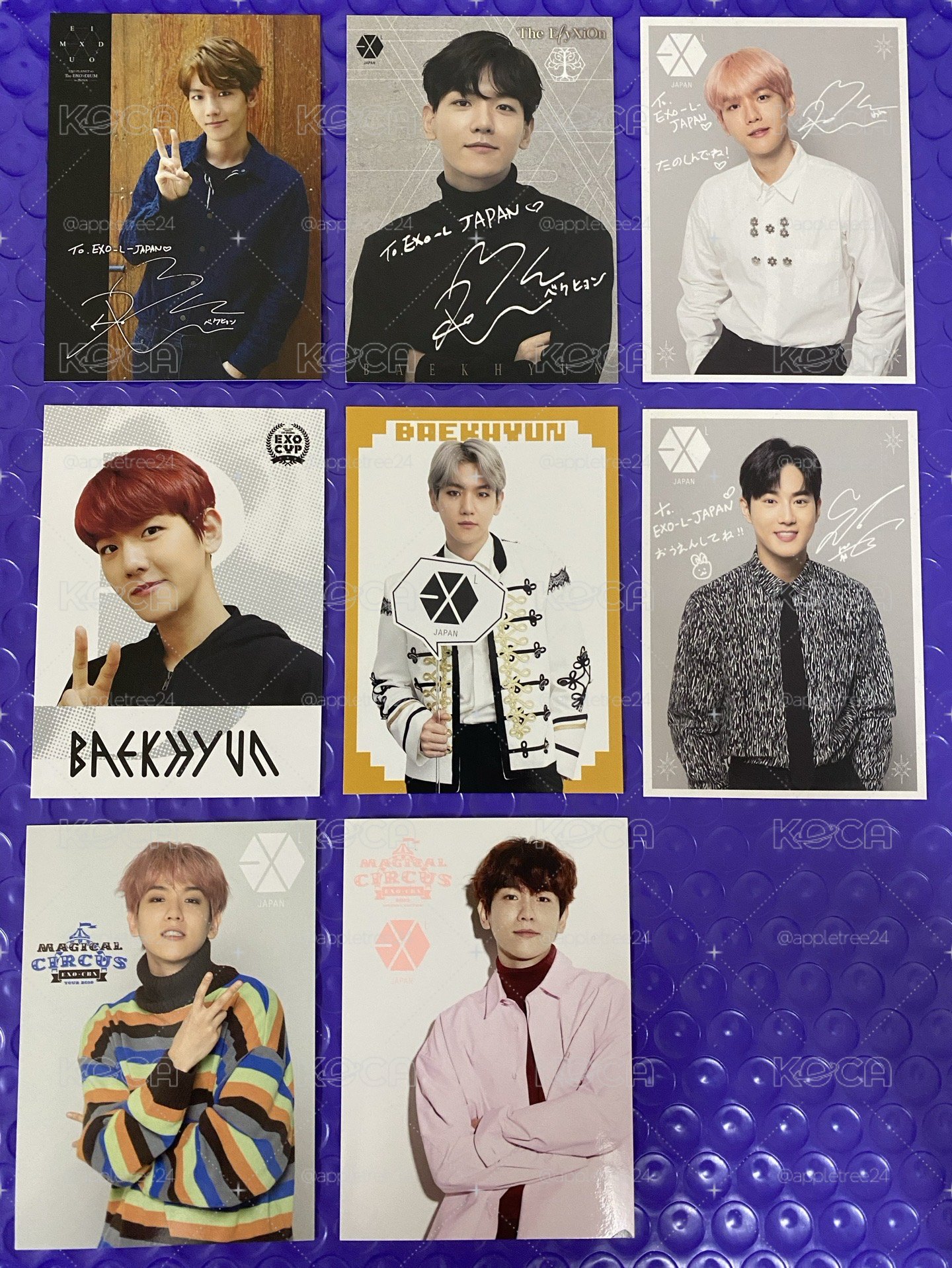 EXO SUHO BAEKHYUN 會場限定會員禮卡