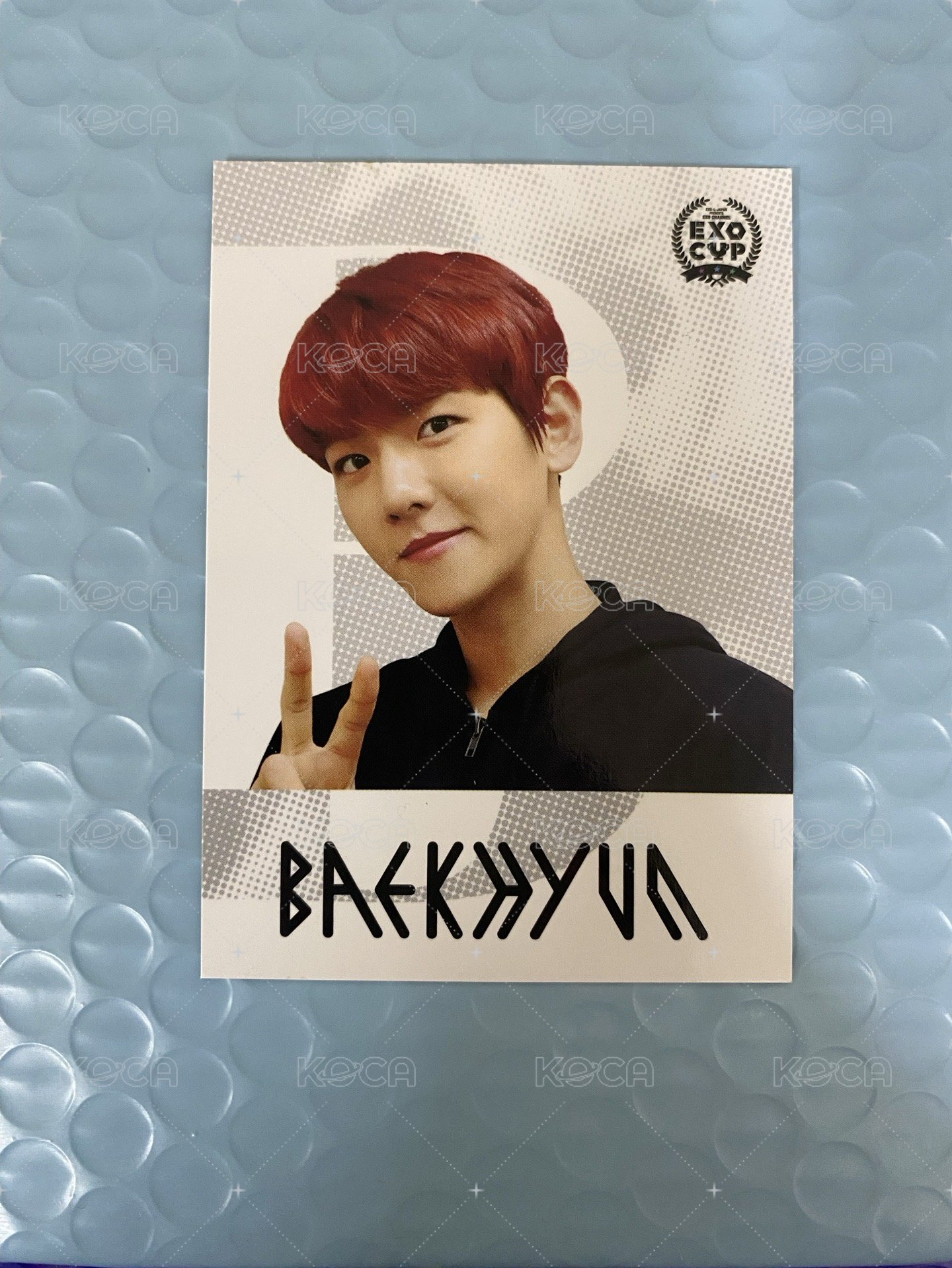 EXO CUP FM BAEKHYUN