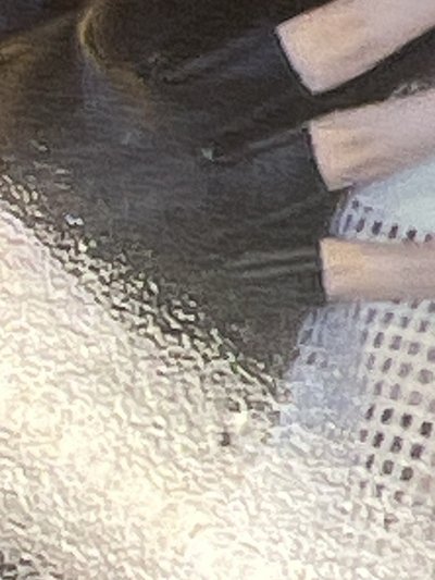 榮書液體貓貓