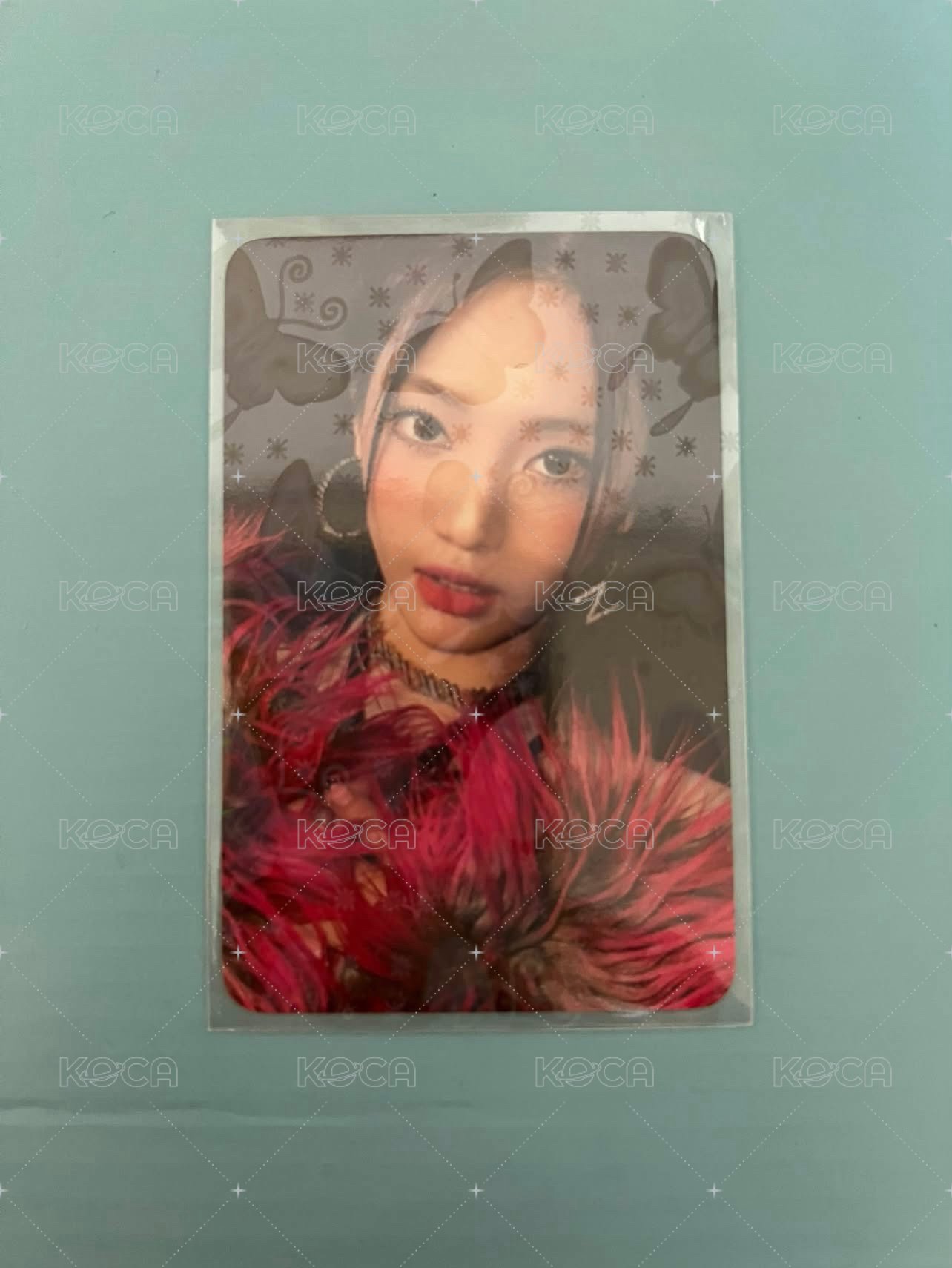 正規一特典寧