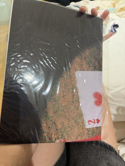 琦的大海報