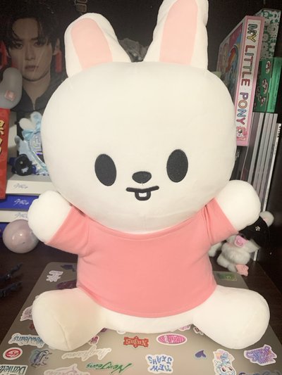 李畢🐰
