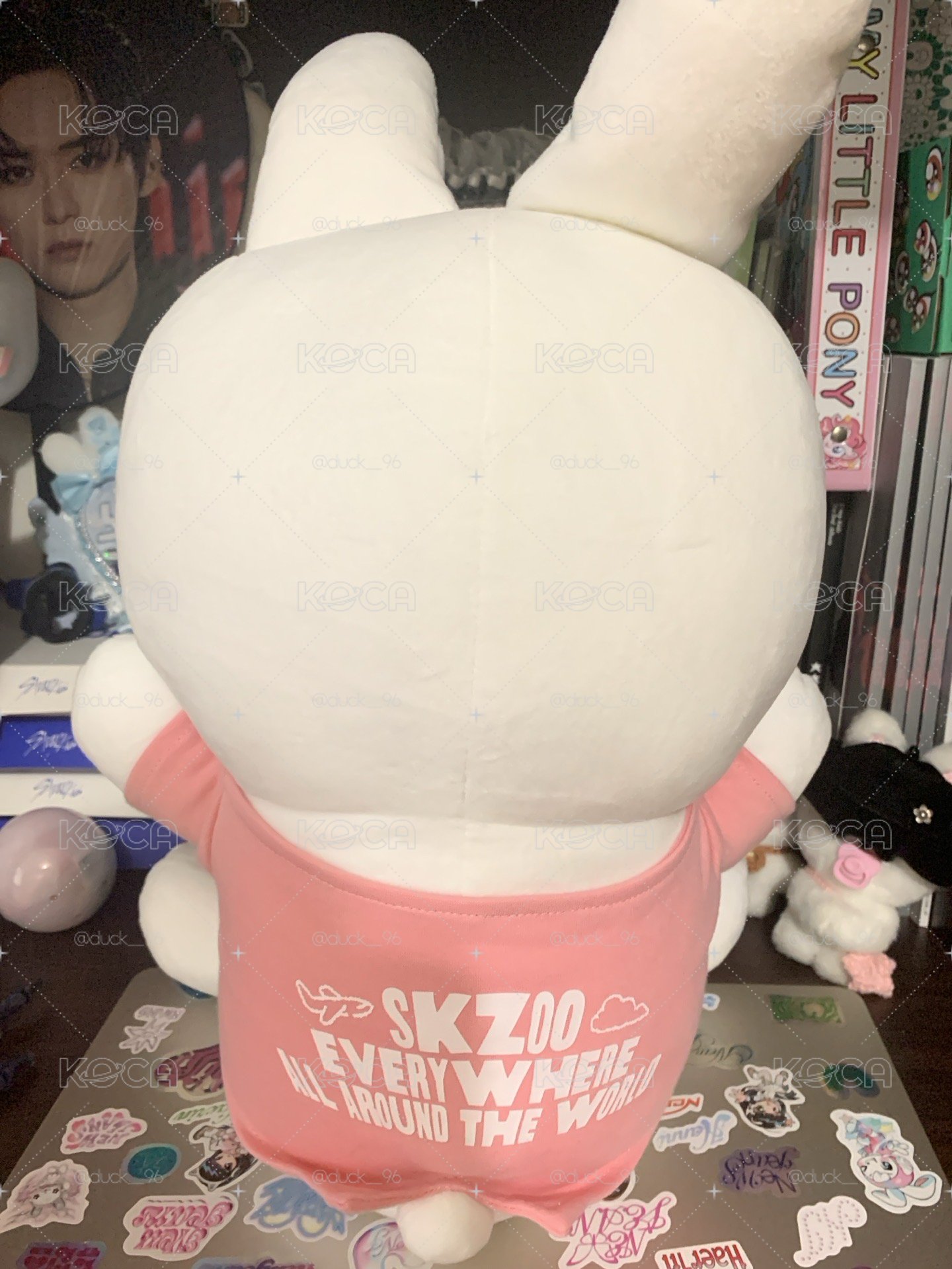 李畢🐰