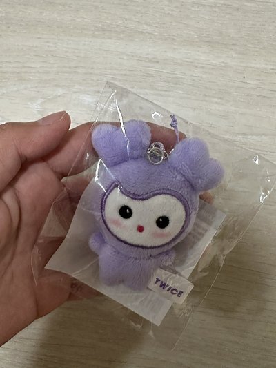現貨～TWICE豆豆眼娃 全新未拆