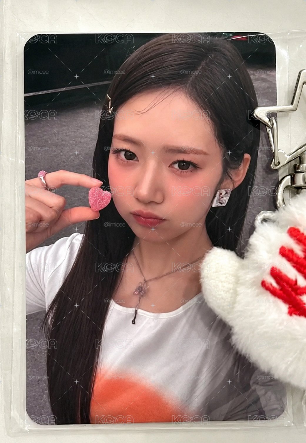 茶仁白球小卡
