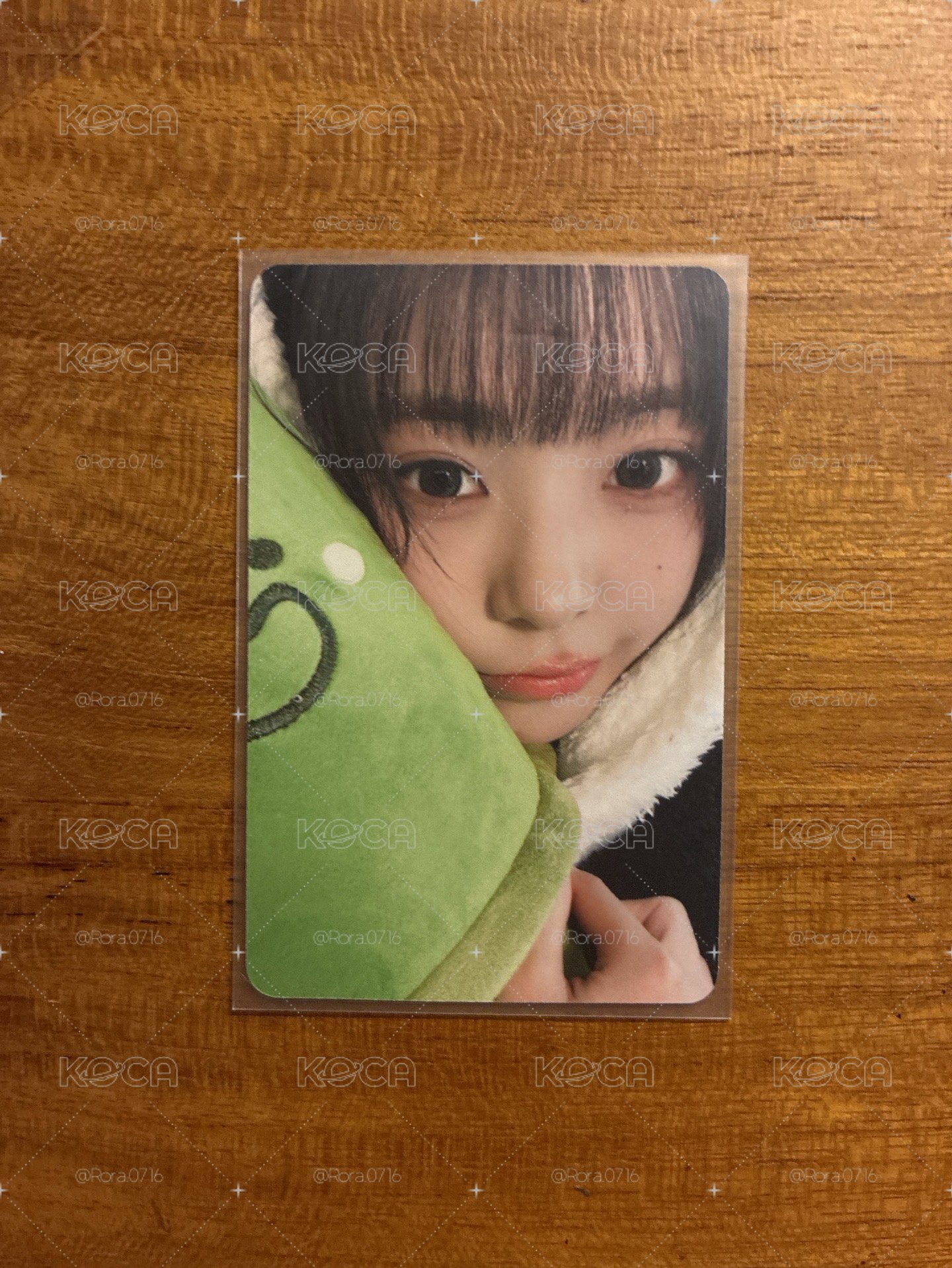 熊貓燕