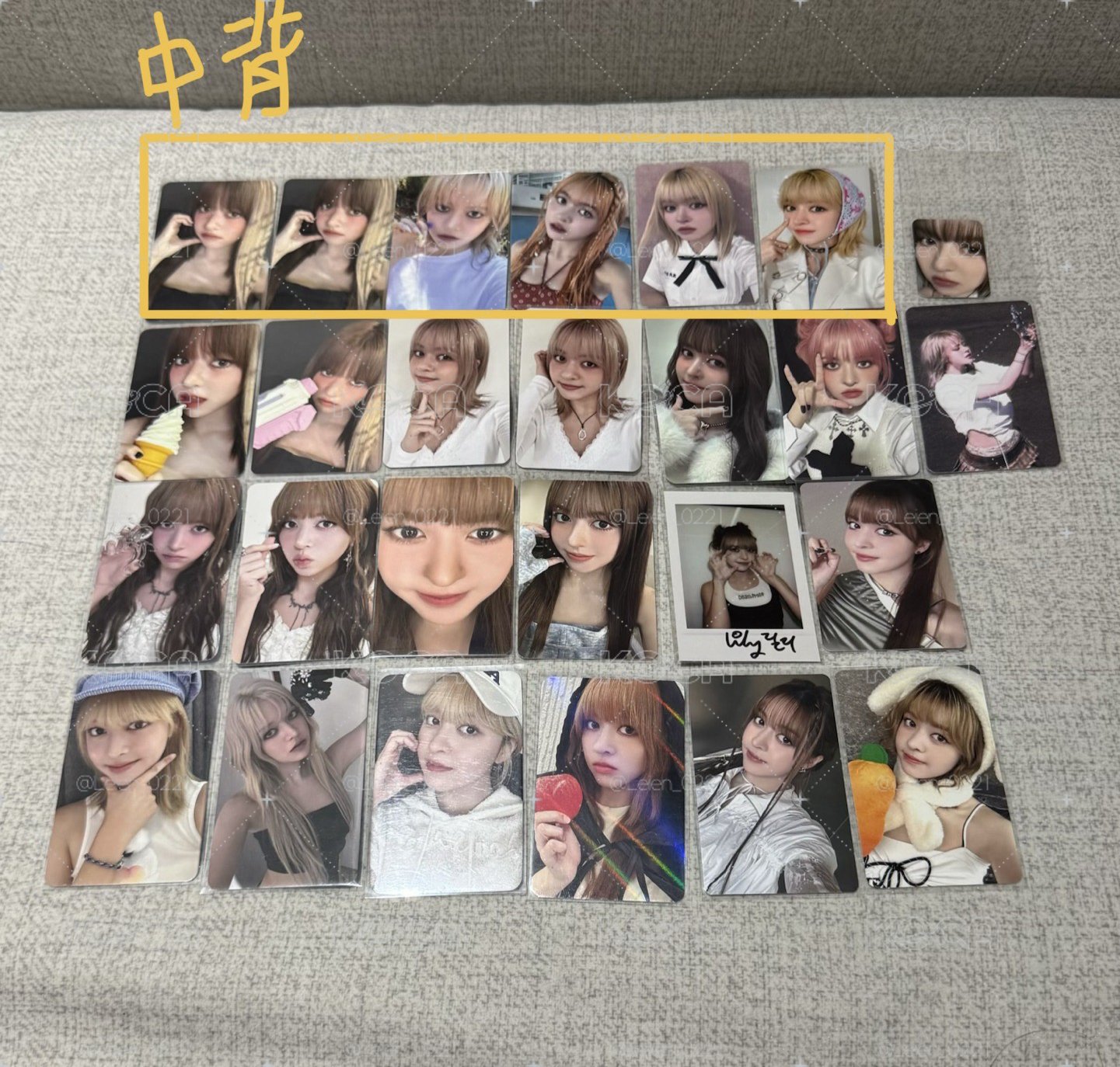 莉盤