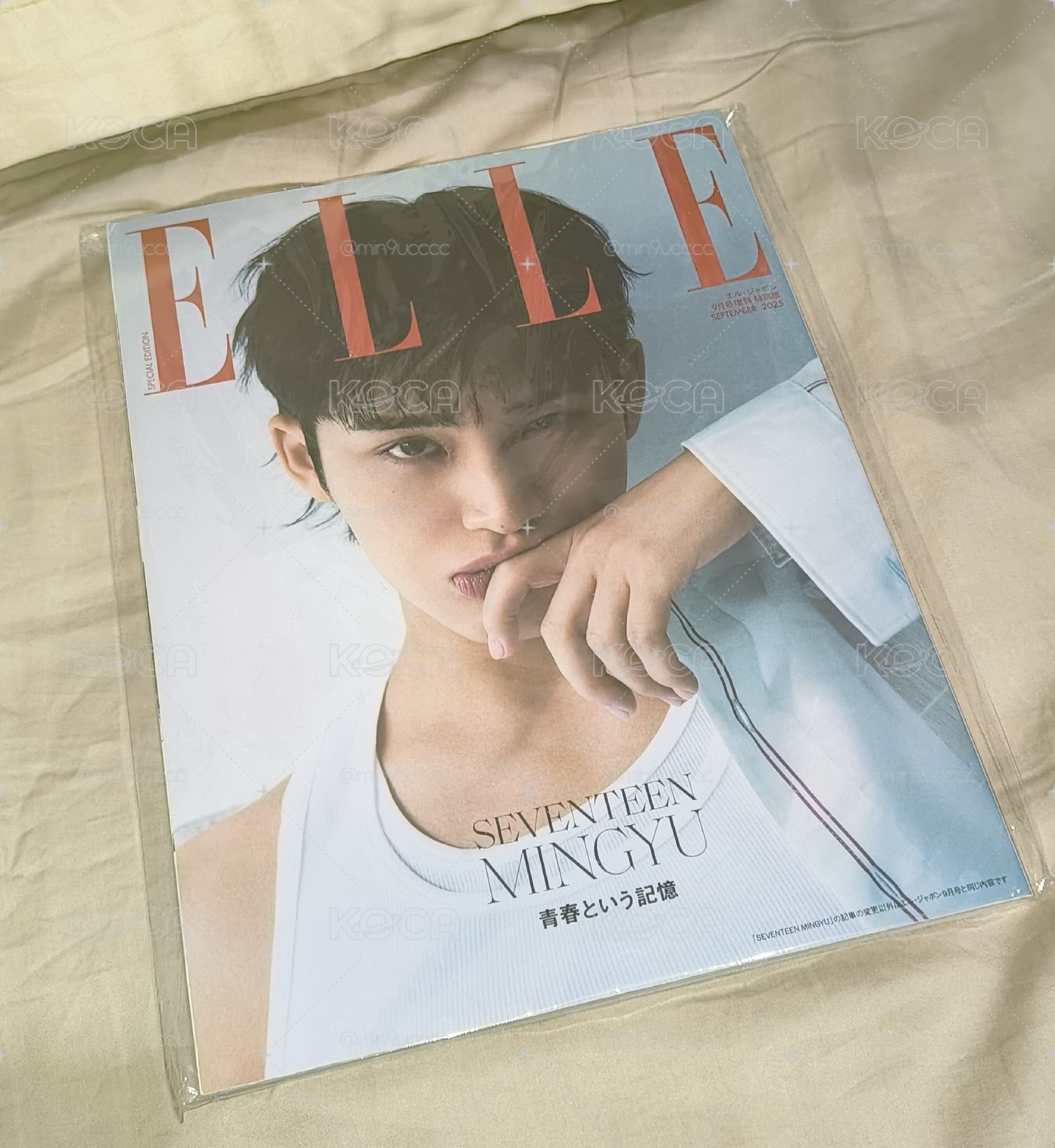 奎雜誌