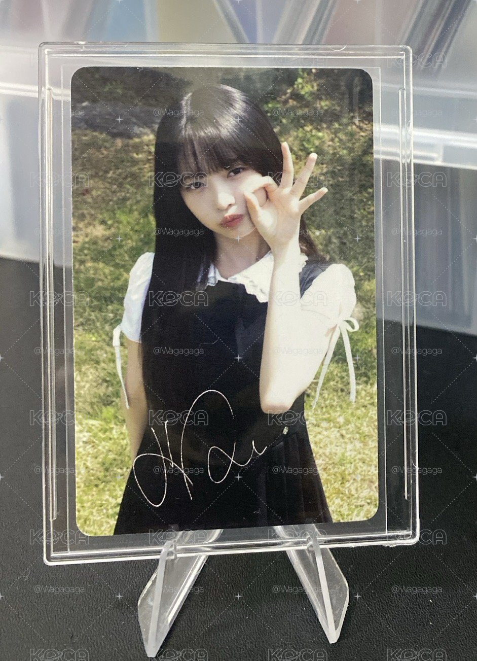 Dicon KKT A版 怜