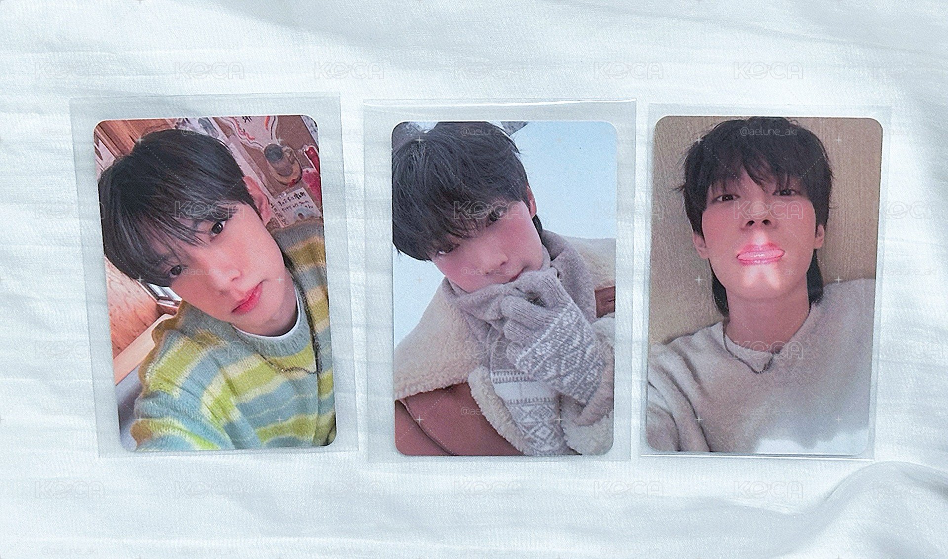 冬日寫真兔🐰小盤（3pcs/set)