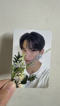 精選專 專輯卡 CARAT ver.1