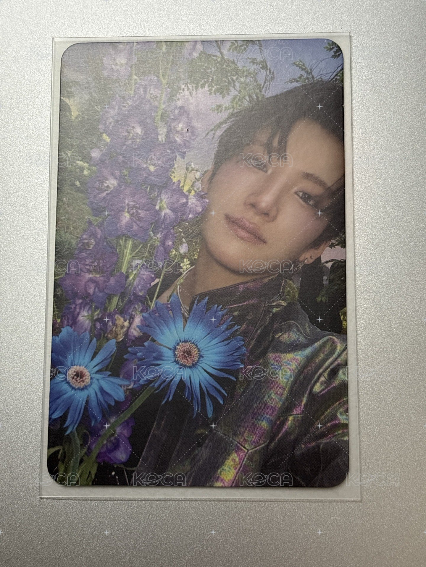 花花貓