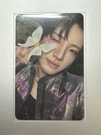 蝴蝶貓貓