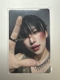 L貓