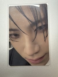 寵物攝影機視角