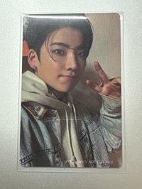 青澀早期貓