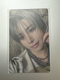 有明貓