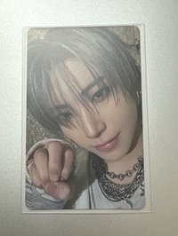 愛知貓